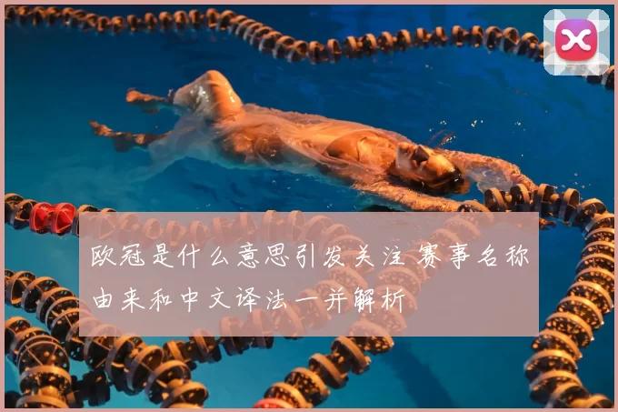 欧冠是什么意思引发关注 赛事名称由来和中文译法一并解析