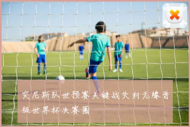 突尼斯队世预赛关键战失利无缘晋级世界杯决赛圈