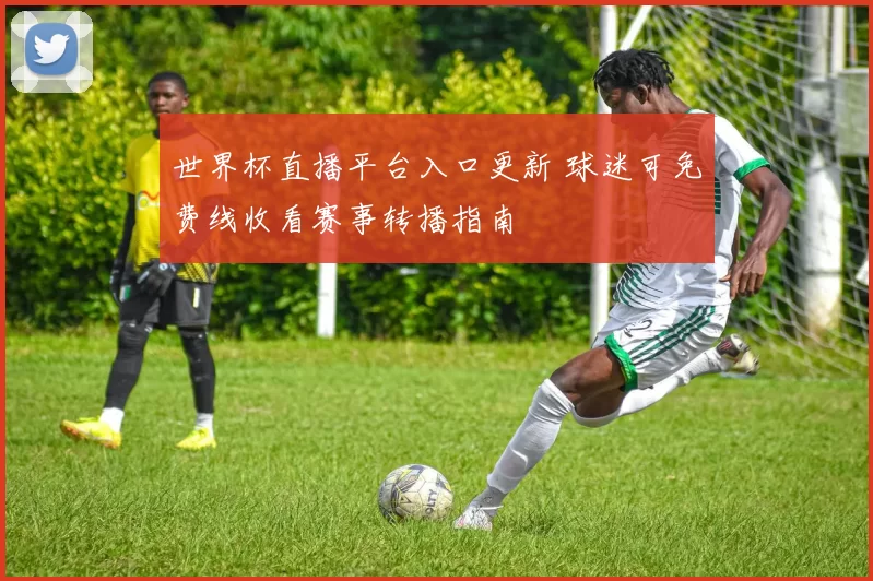 世界杯直播平台入口更新 球迷可免费线收看赛事转播指南